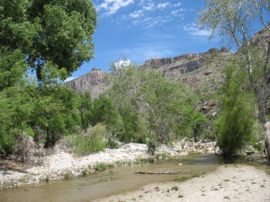 Sabino Creek | Tuscon